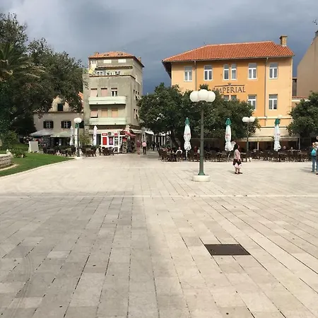 Ribaric 2*